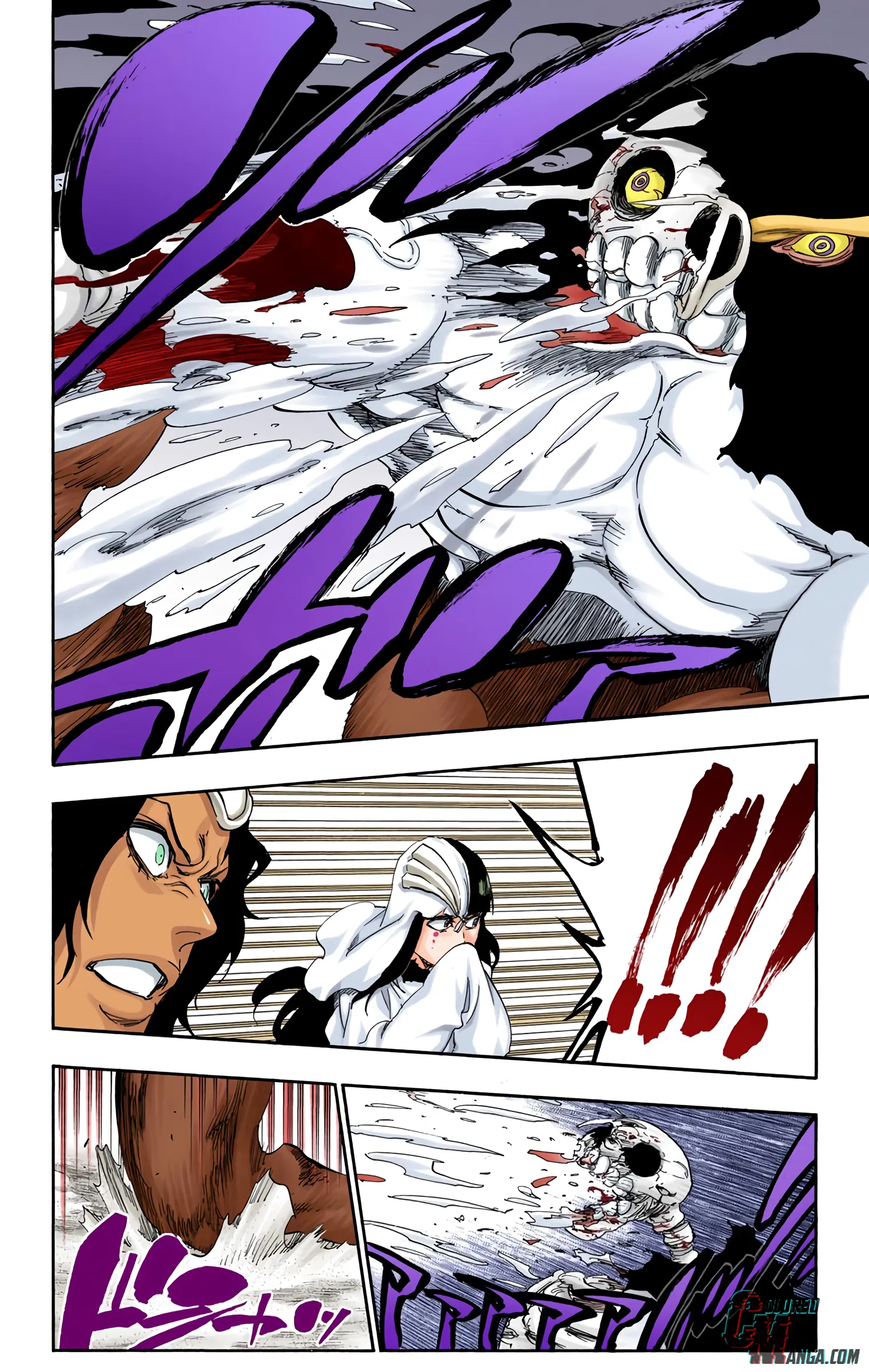 Read Bleach (Colored) EN Manga Online