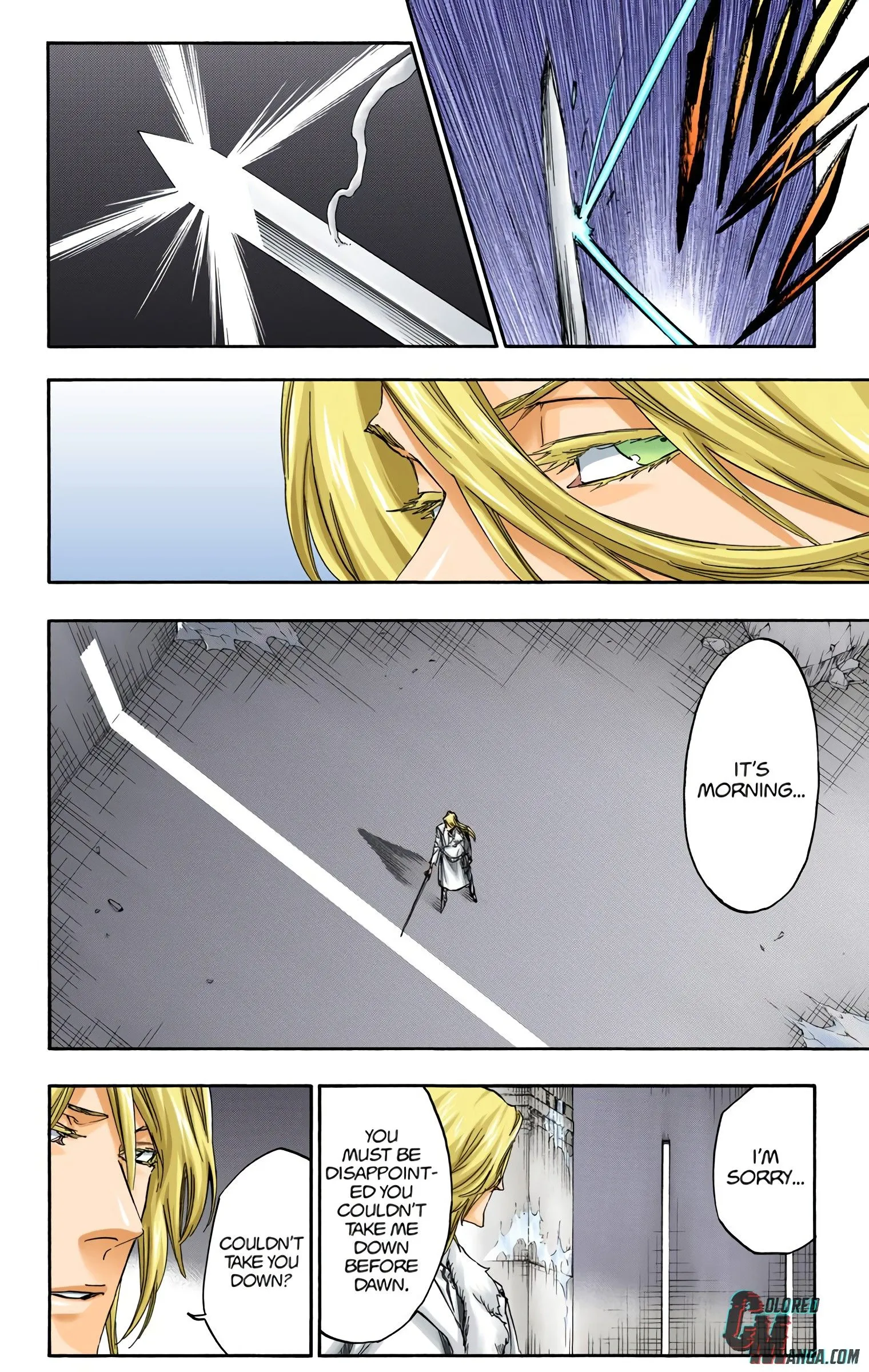 Read Bleach (Colored) EN Manga Online