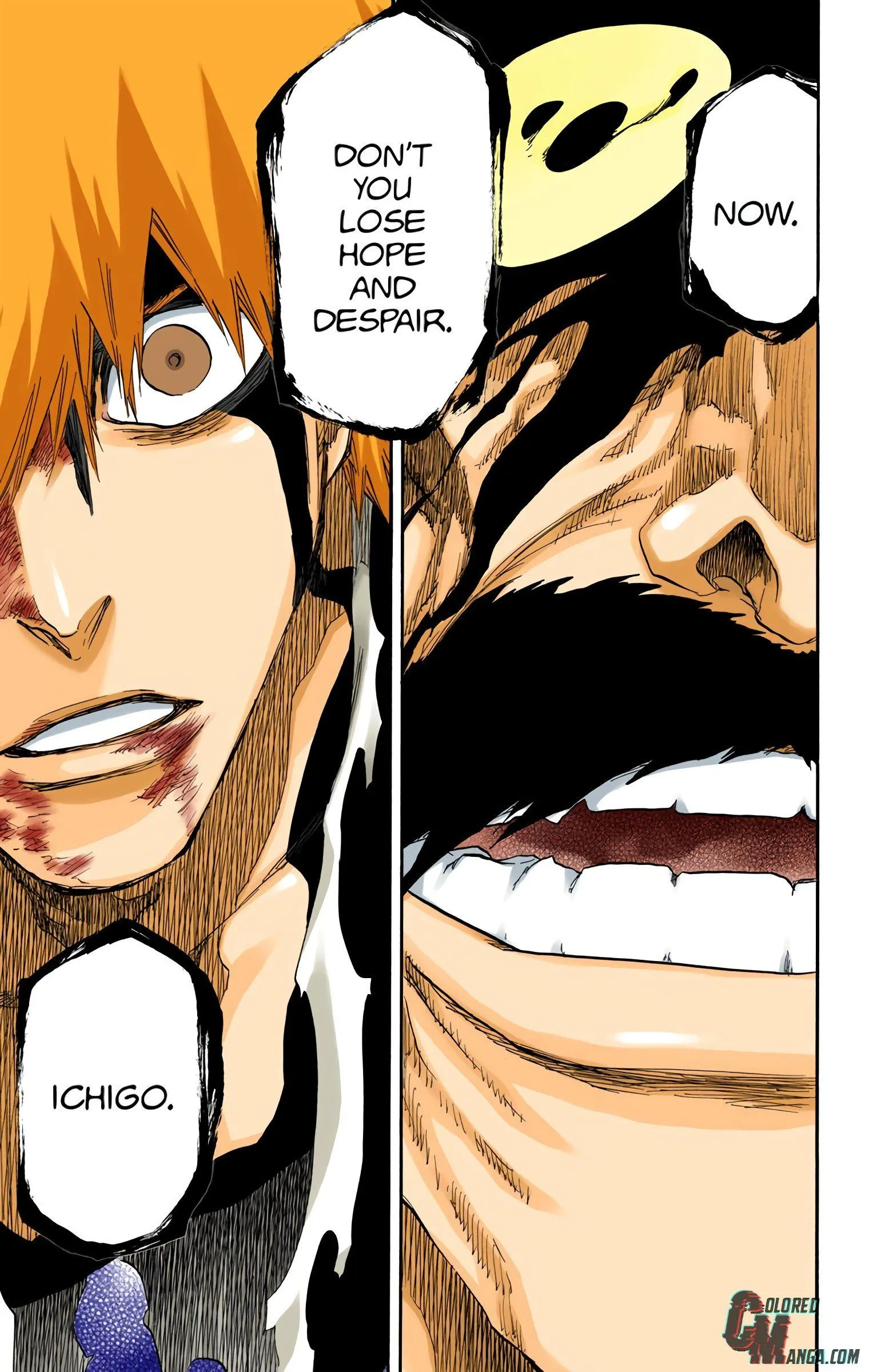 Read Bleach (Colored) EN Manga Online