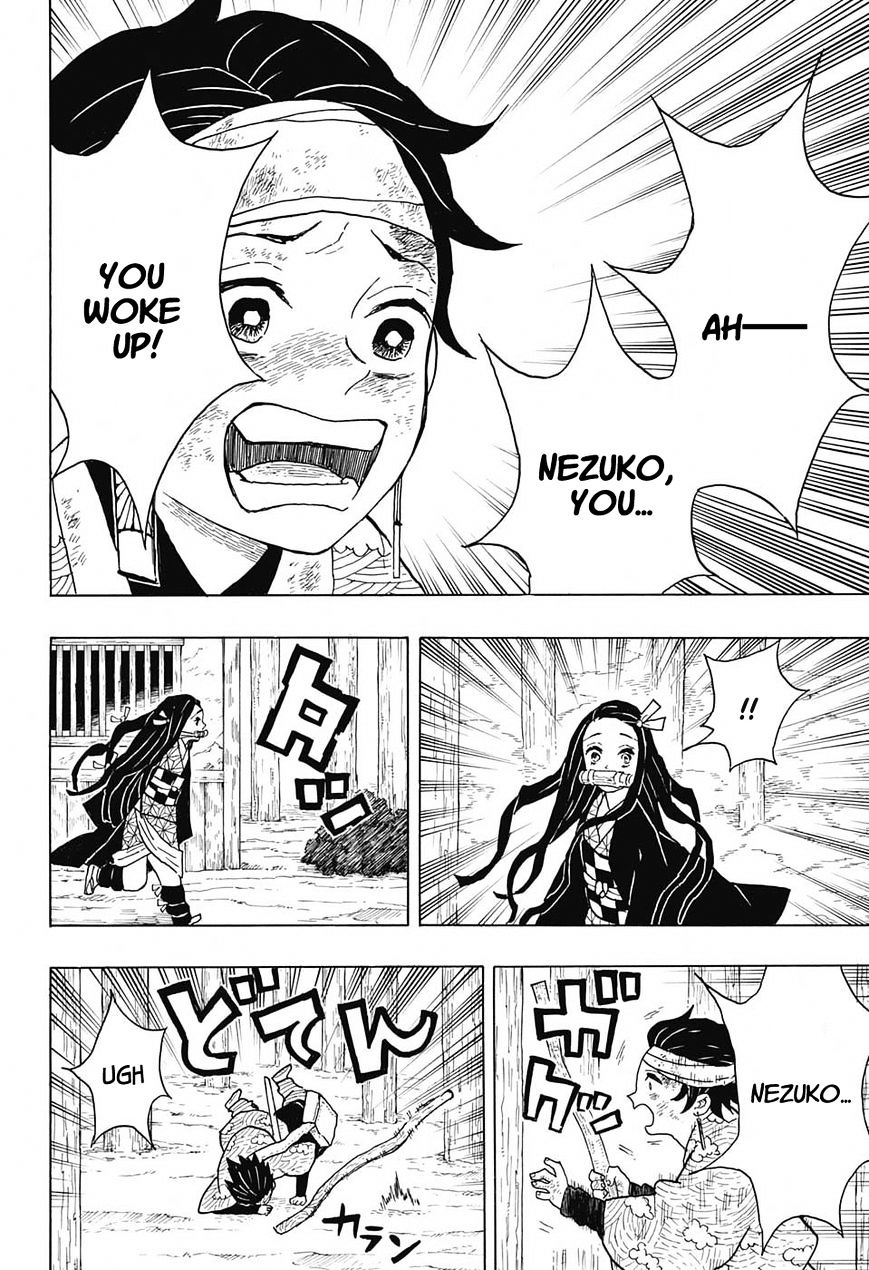 Read Demon Slayer - Kimetsu no Yaiba EN Manga Online