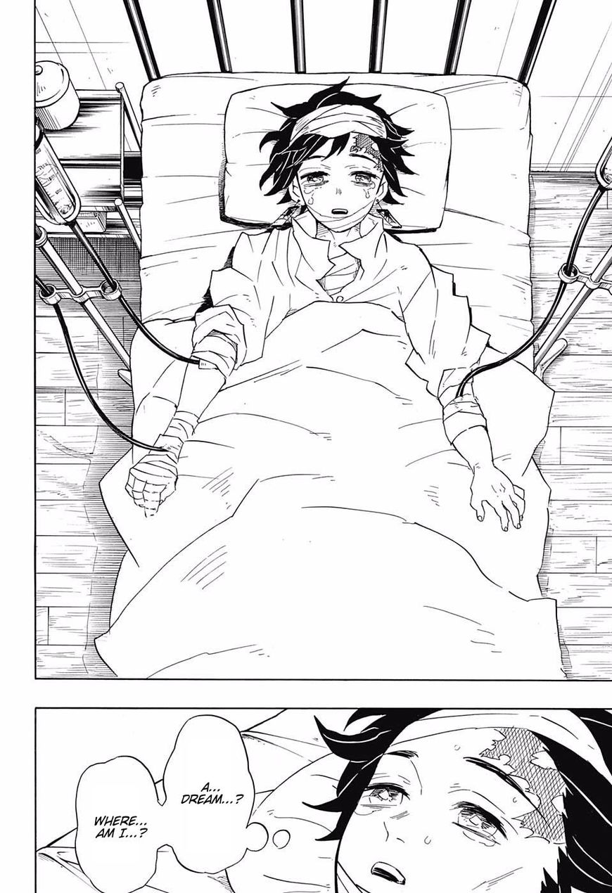Read Demon Slayer - Kimetsu no Yaiba EN Manga Online