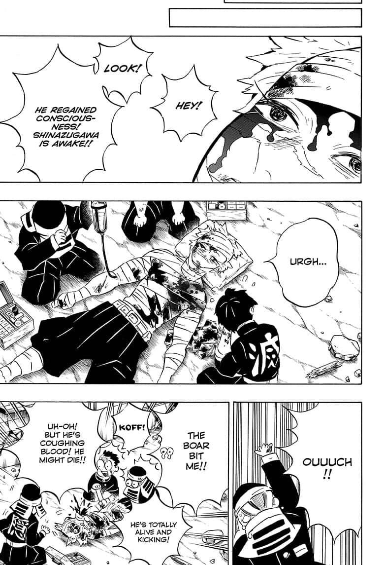 Read Demon Slayer - Kimetsu no Yaiba EN Manga Online
