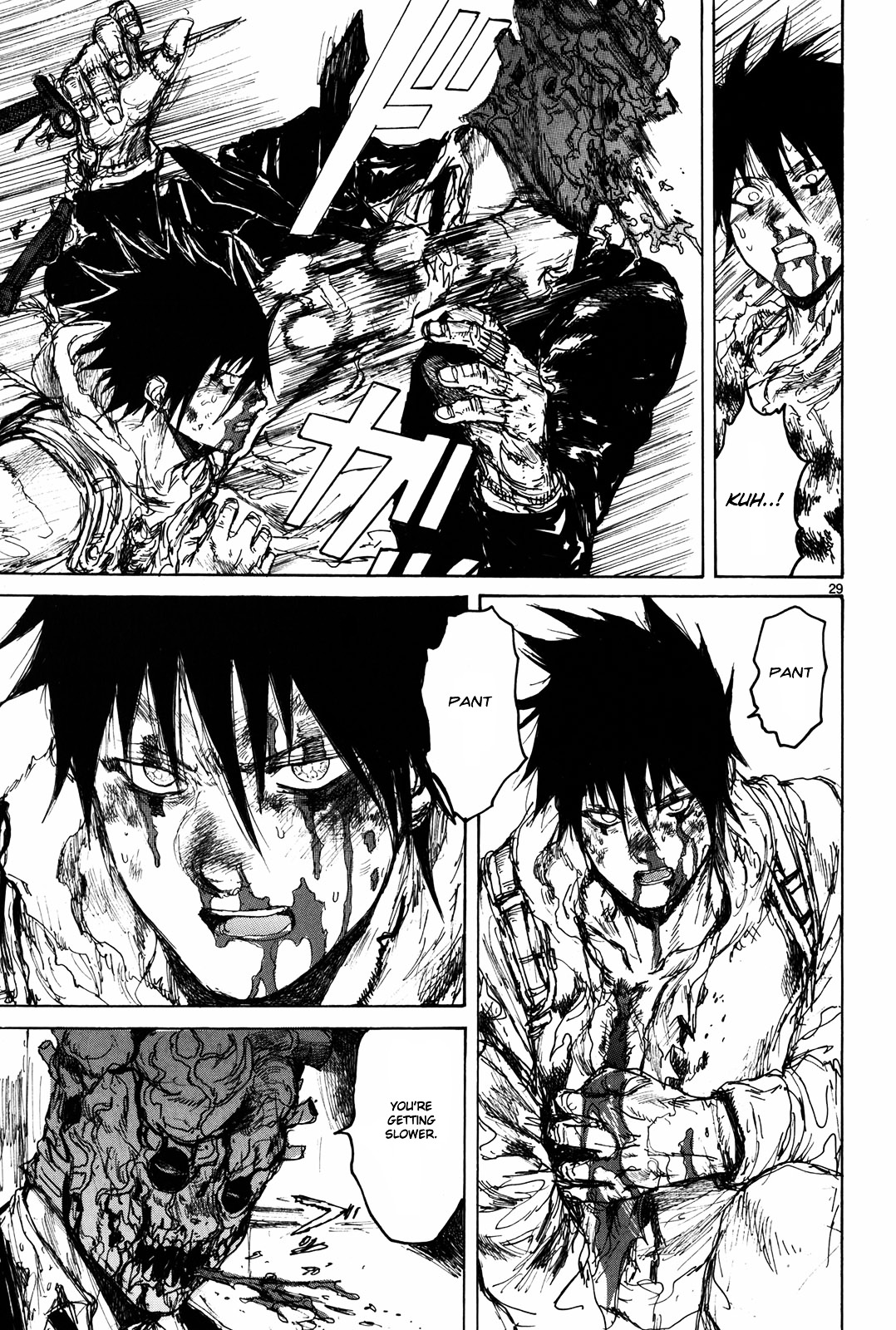 Read Dorohedoro EN Manga Online