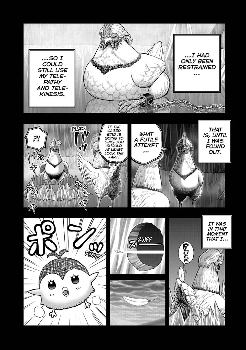 Read Rooster Fighter EN Manga Online
