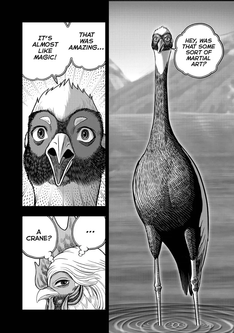 Read Rooster Fighter EN Manga Online