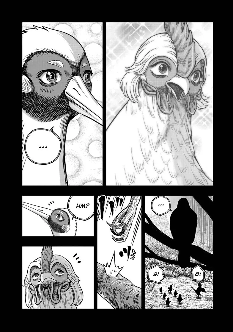 Read Rooster Fighter EN Manga Online