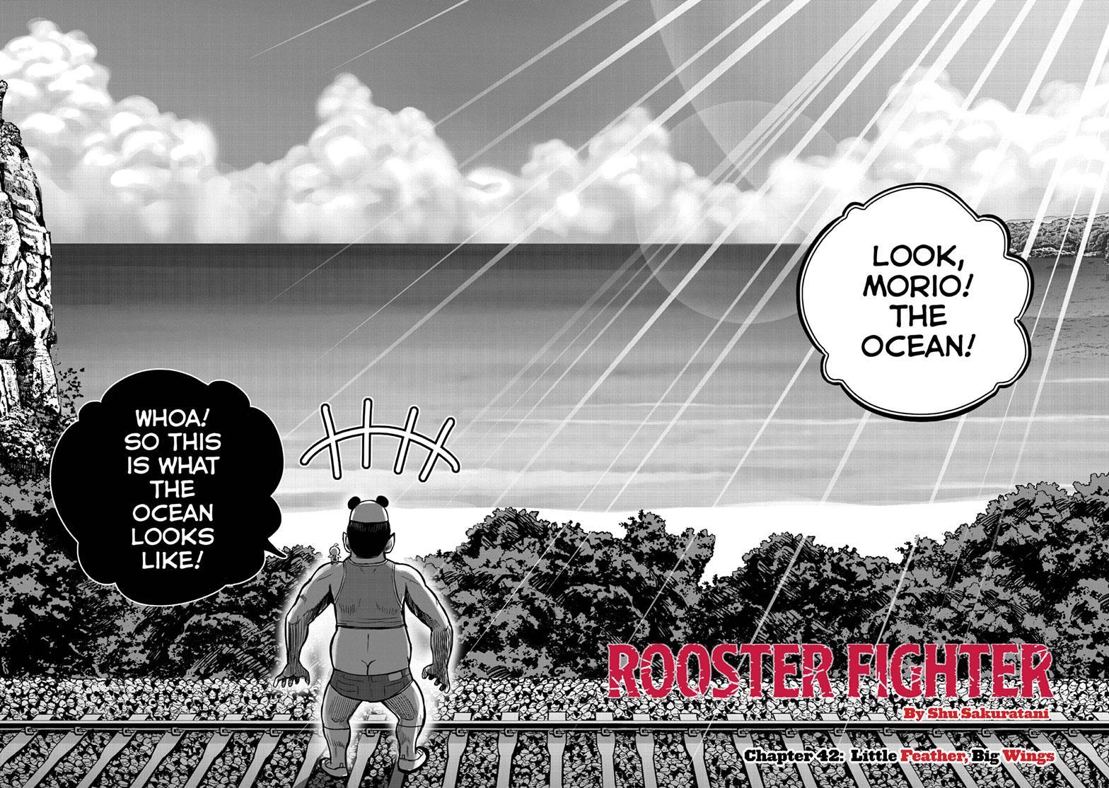 Read Rooster Fighter EN Manga Online
