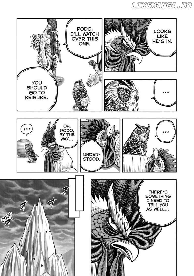 Read Rooster Fighter EN Manga Online