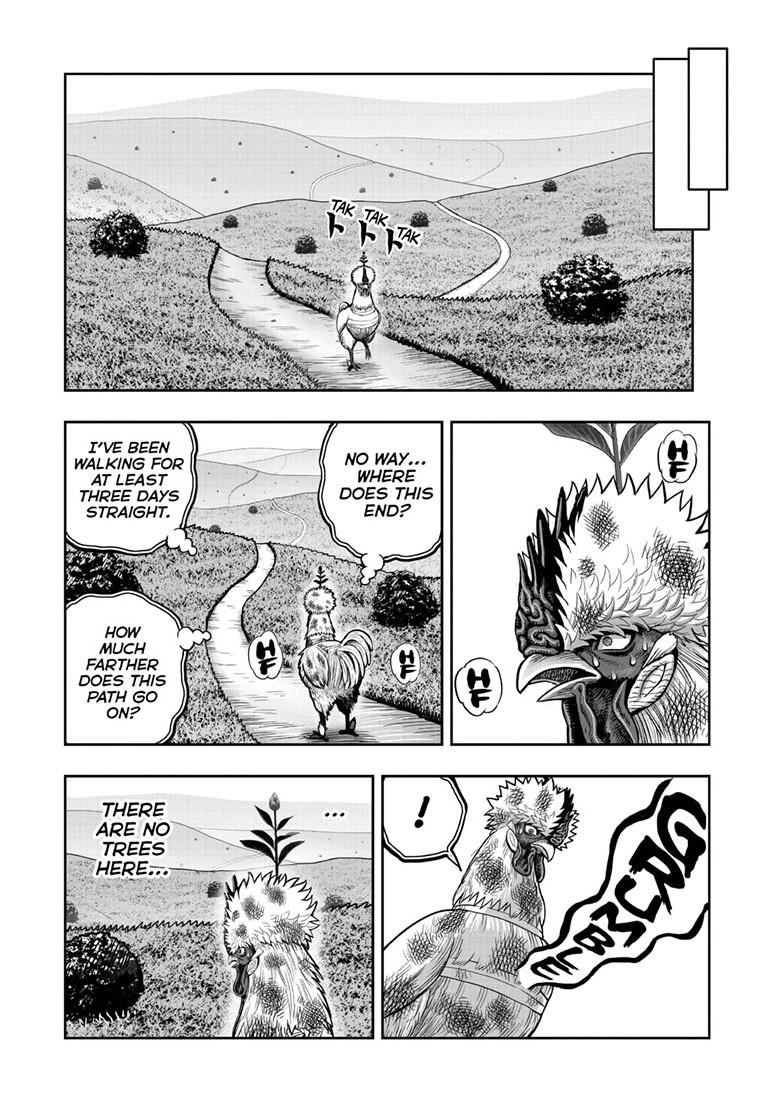 Read Rooster Fighter EN Manga Online