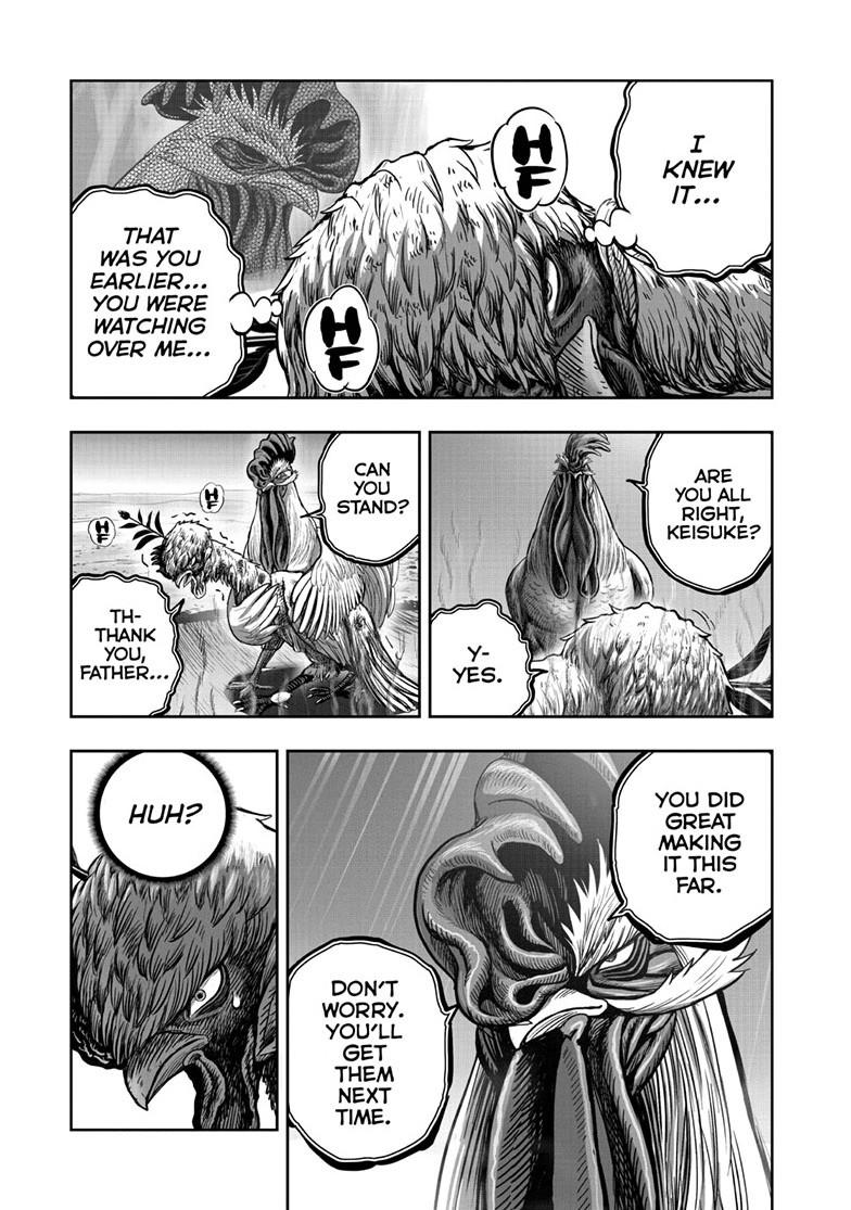 Read Rooster Fighter EN Manga Online