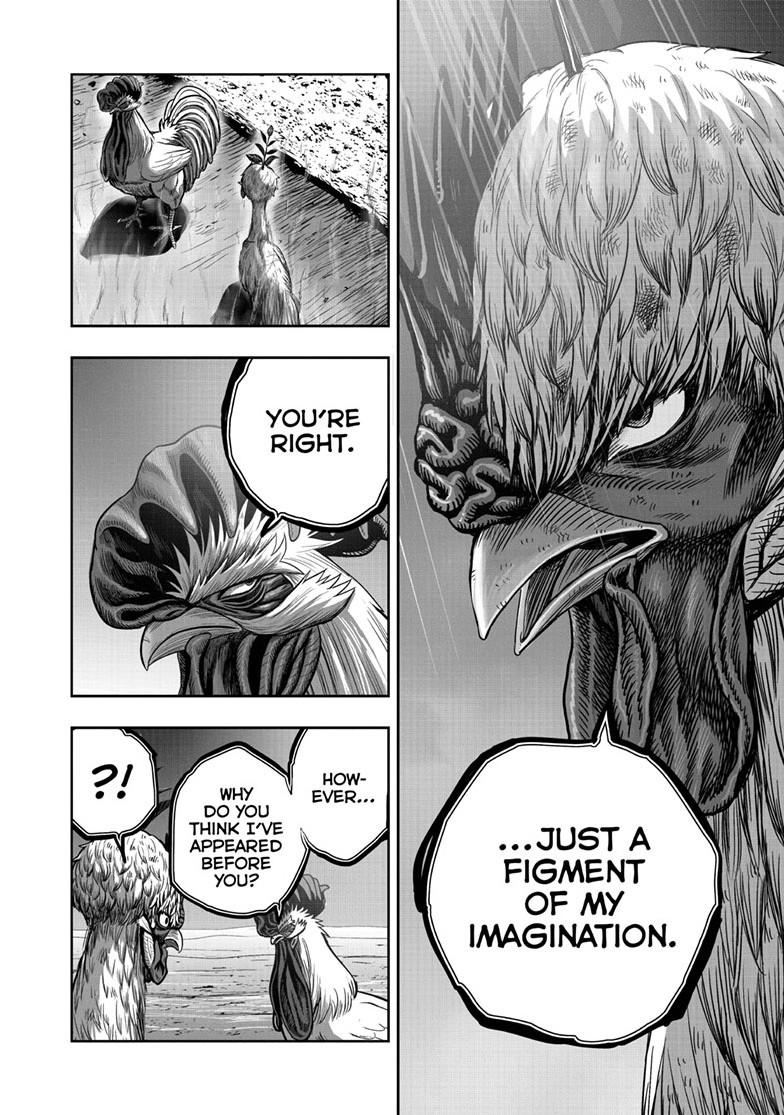 Read Rooster Fighter EN Manga Online