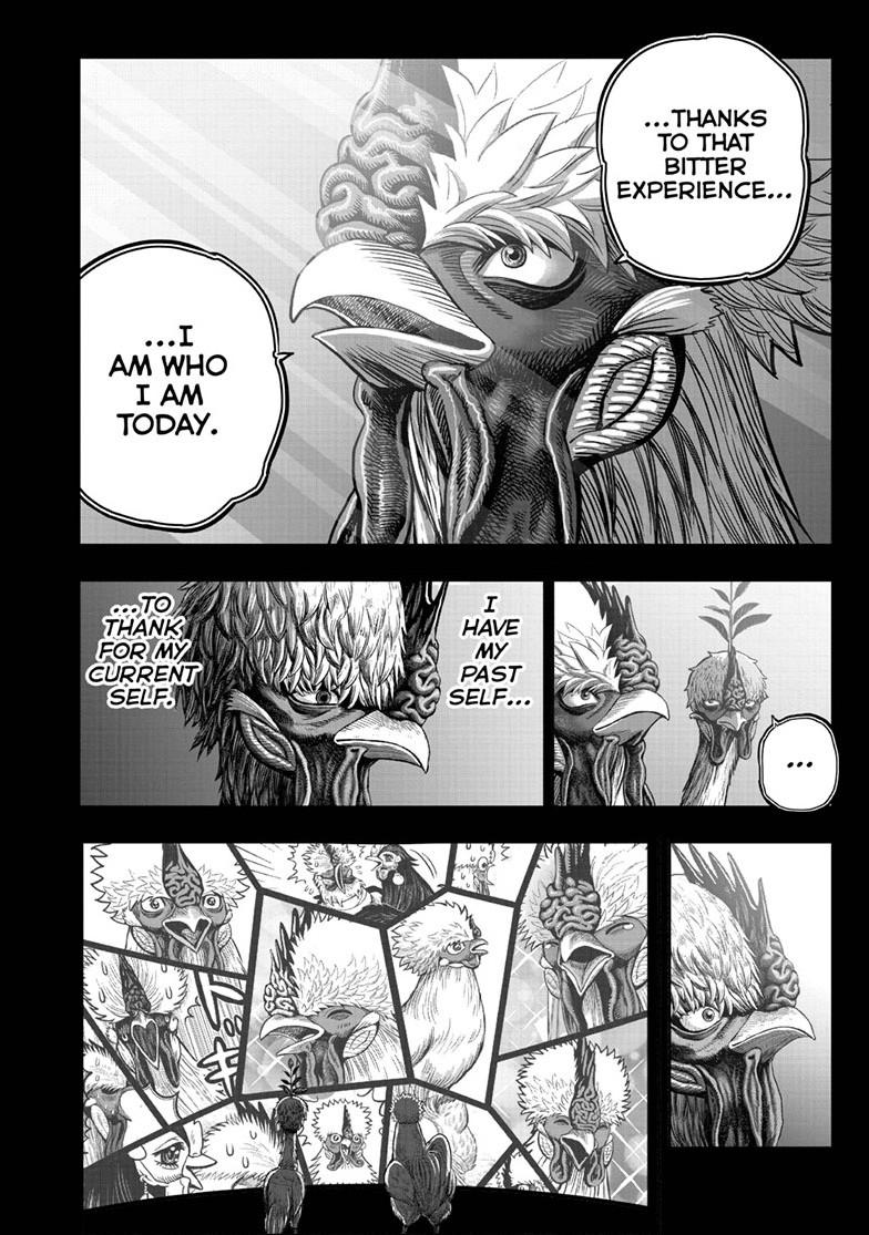 Read Rooster Fighter EN Manga Online