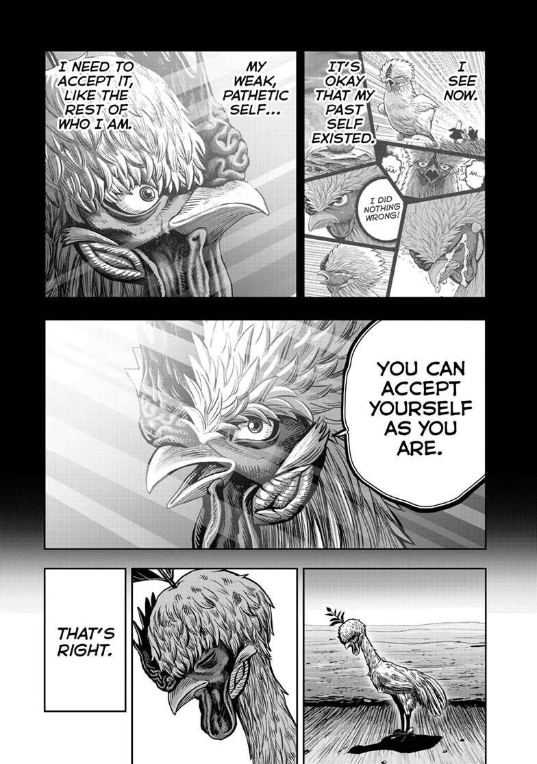 Read Rooster Fighter EN Manga Online