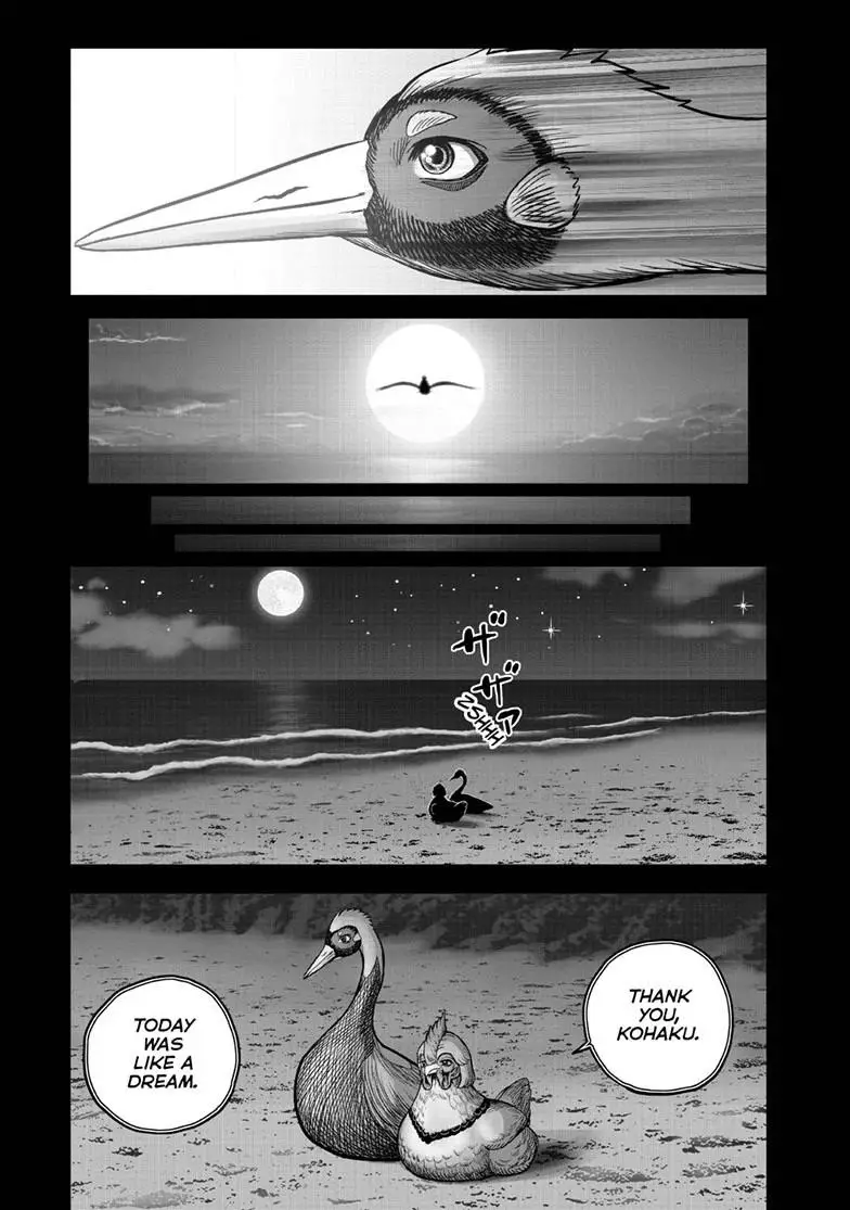Read Rooster Fighter EN Manga Online
