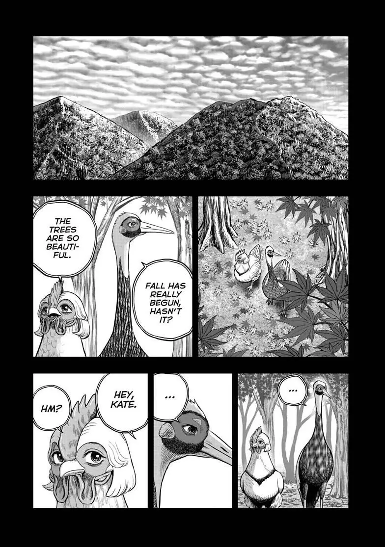 Read Rooster Fighter EN Manga Online