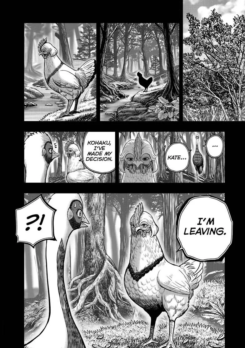 Read Rooster Fighter EN Manga Online