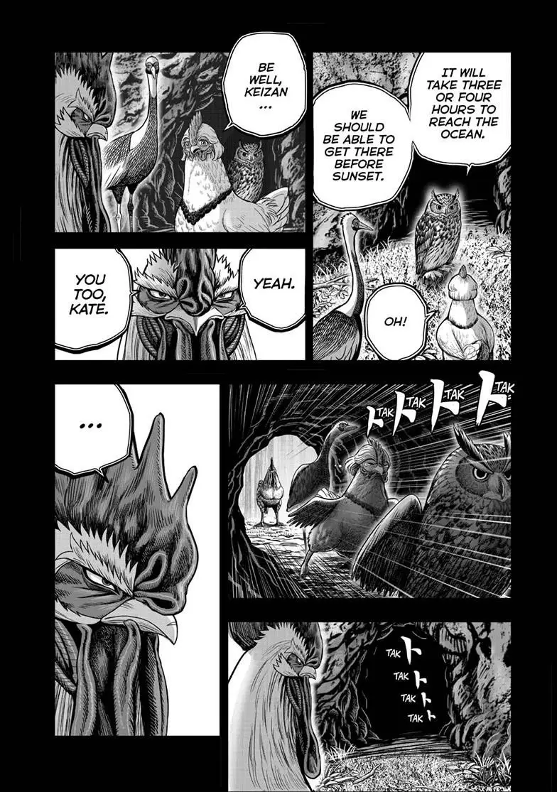 Read Rooster Fighter EN Manga Online