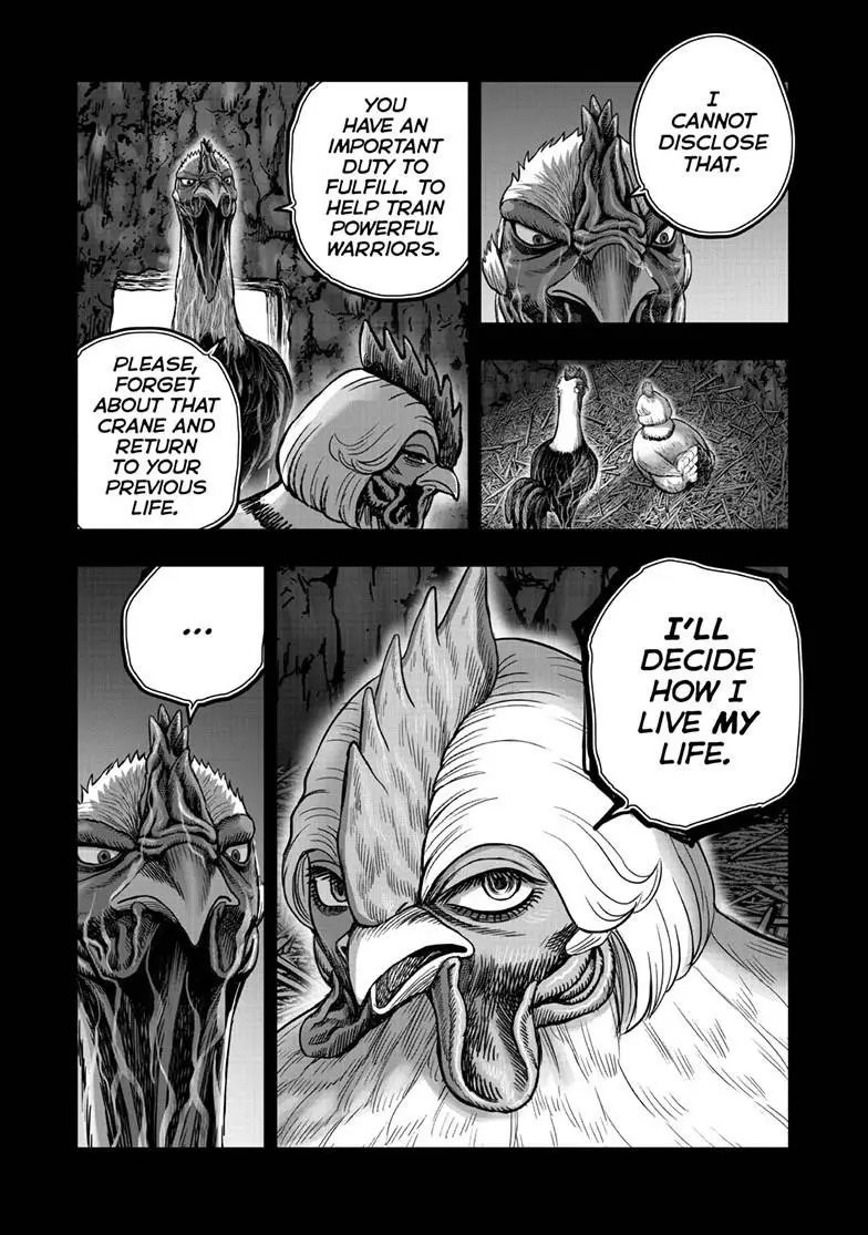 Read Rooster Fighter EN Manga Online