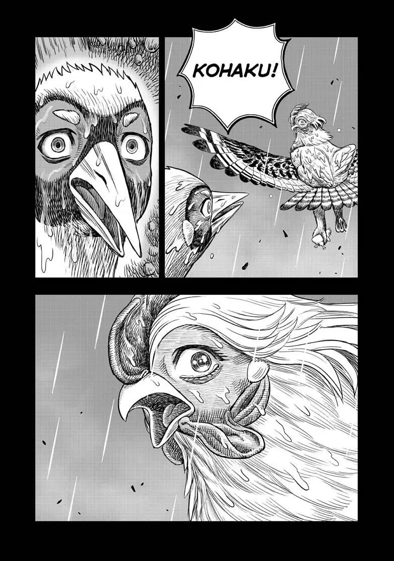 Read Rooster Fighter EN Manga Online