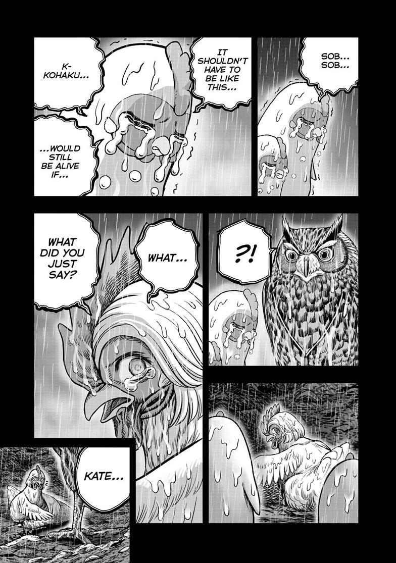 Read Rooster Fighter EN Manga Online