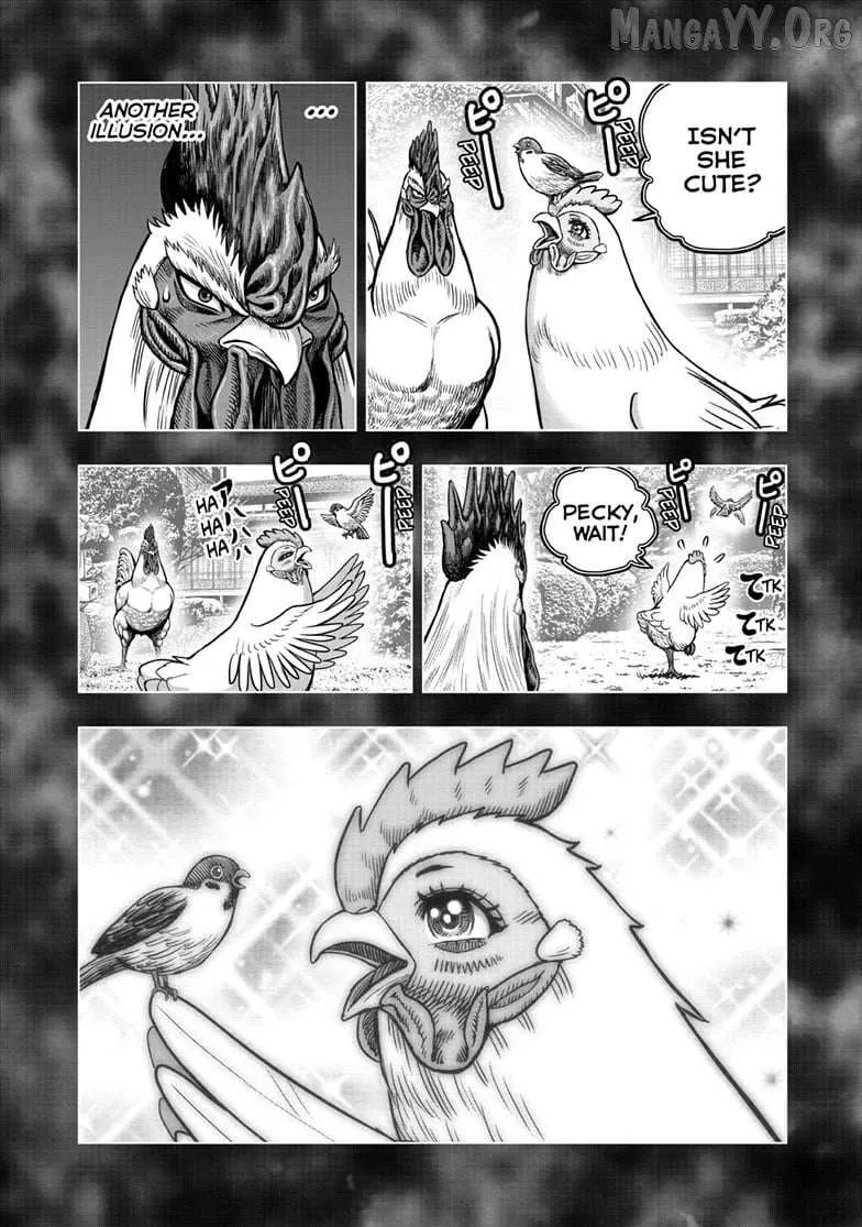 Read Rooster Fighter EN Manga Online