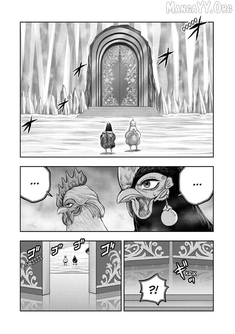 Read Rooster Fighter EN Manga Online