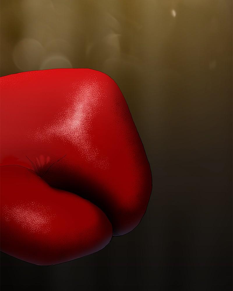 Read The Boxer EN Manga Online