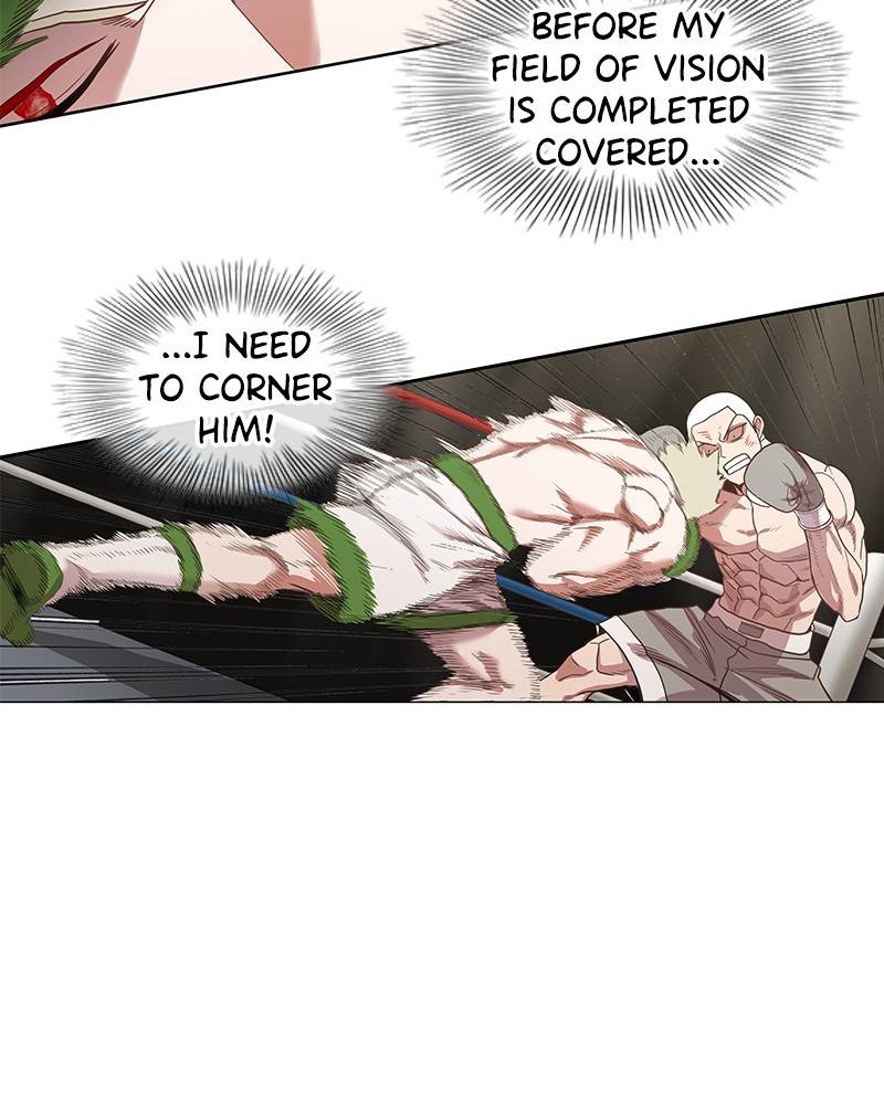 Read The Boxer EN Manga Online