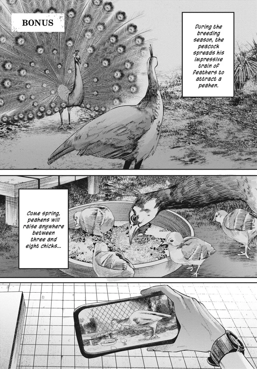 Read The Summer Hikaru Died EN Manga Online
