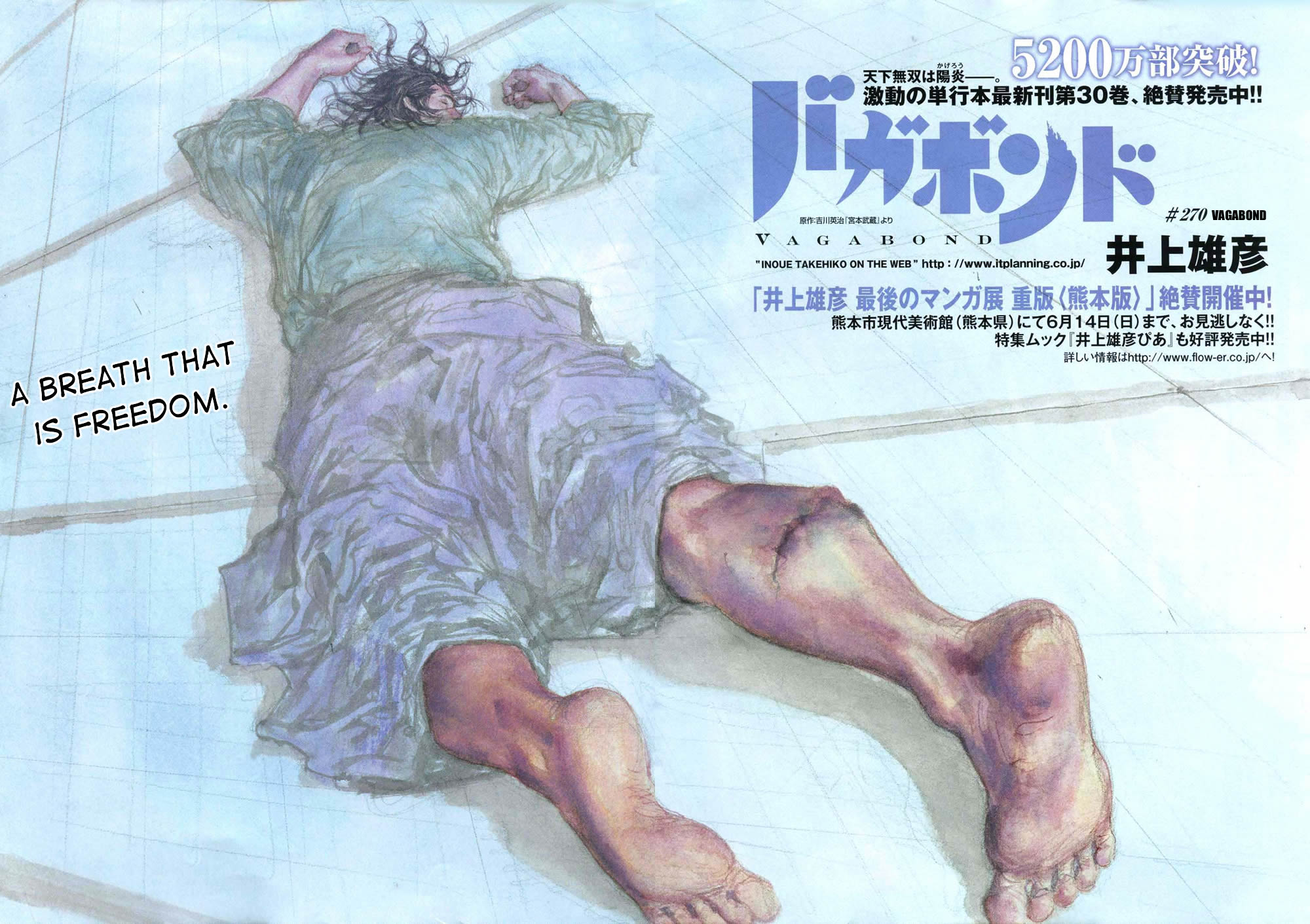 Read Vagabond EN Manga Online
