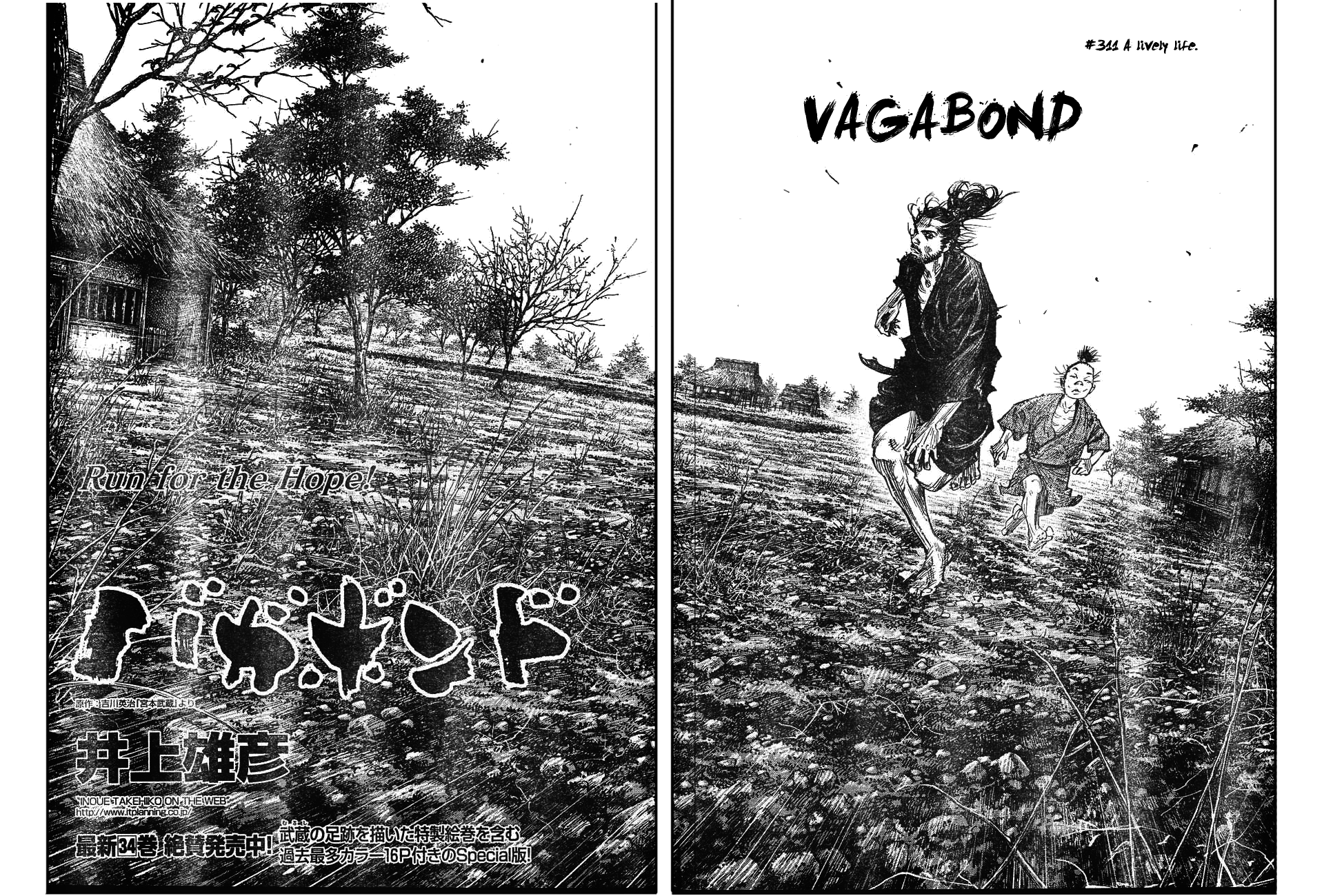 Read Vagabond EN Manga Online