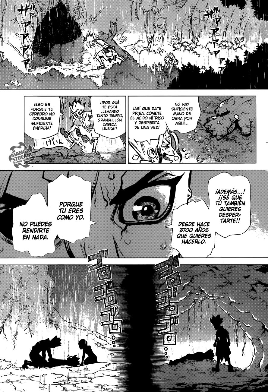 Read Dr Stone ES Manga Online