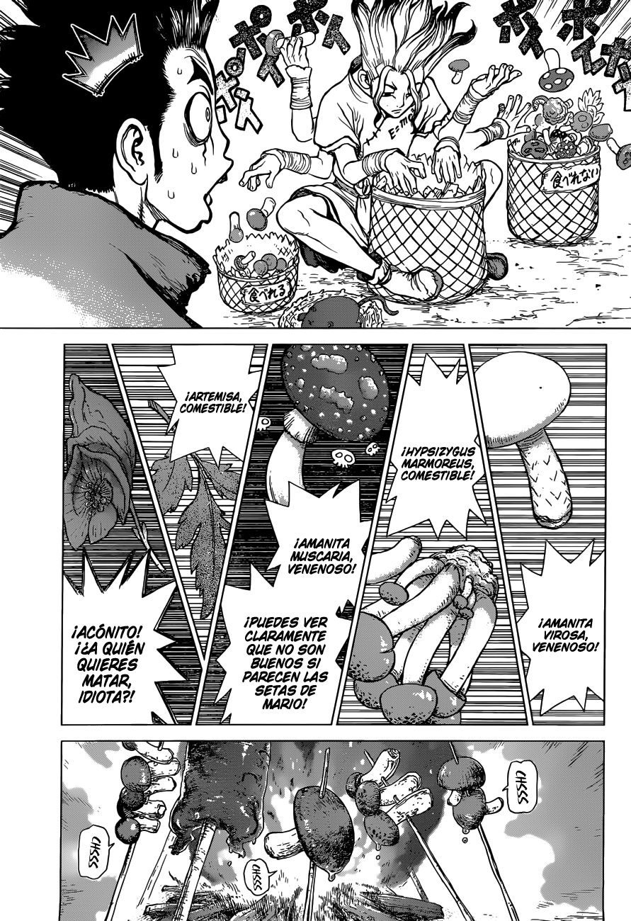 Read Dr. Stone ES Manga Online