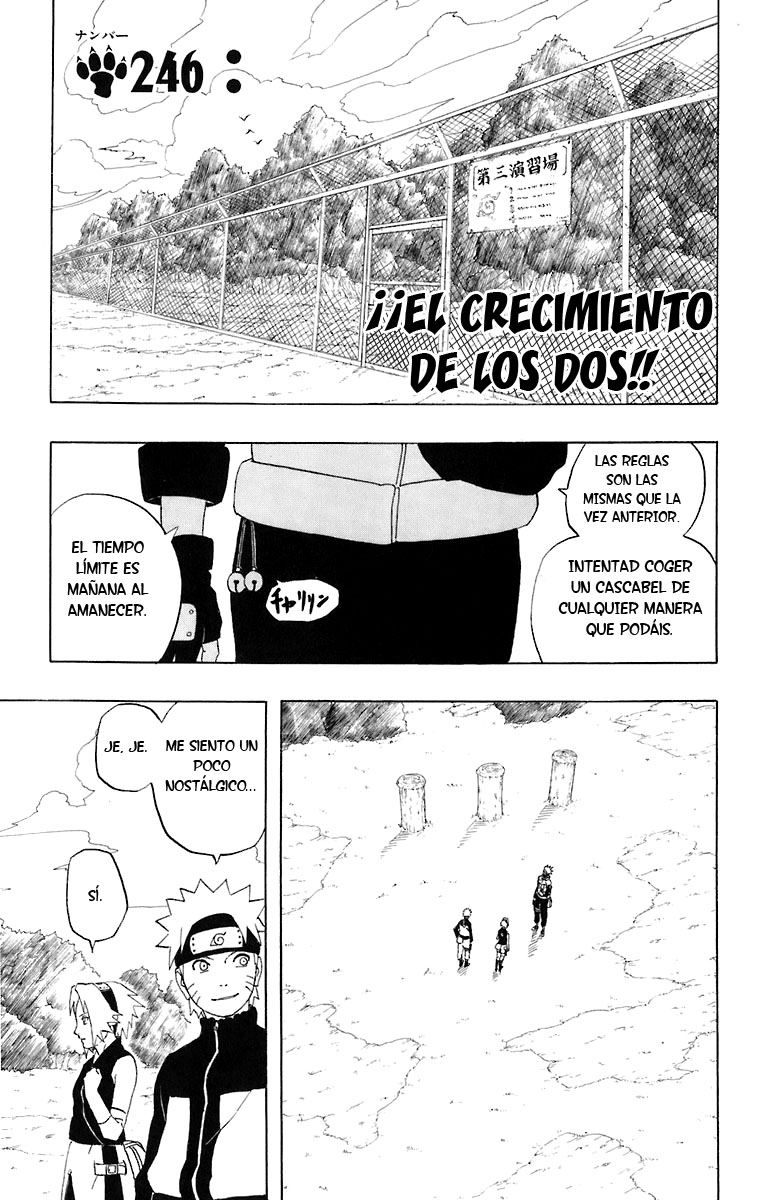 Read Naruto ES Manga Online