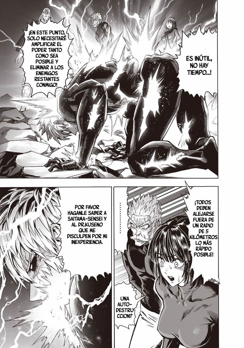 Read One Punch Man ES Manga Online