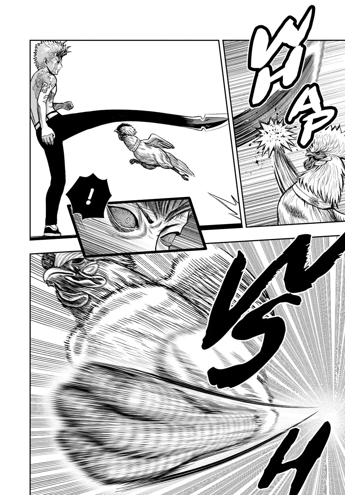 Read Rooster Fighter ES Manga Online
