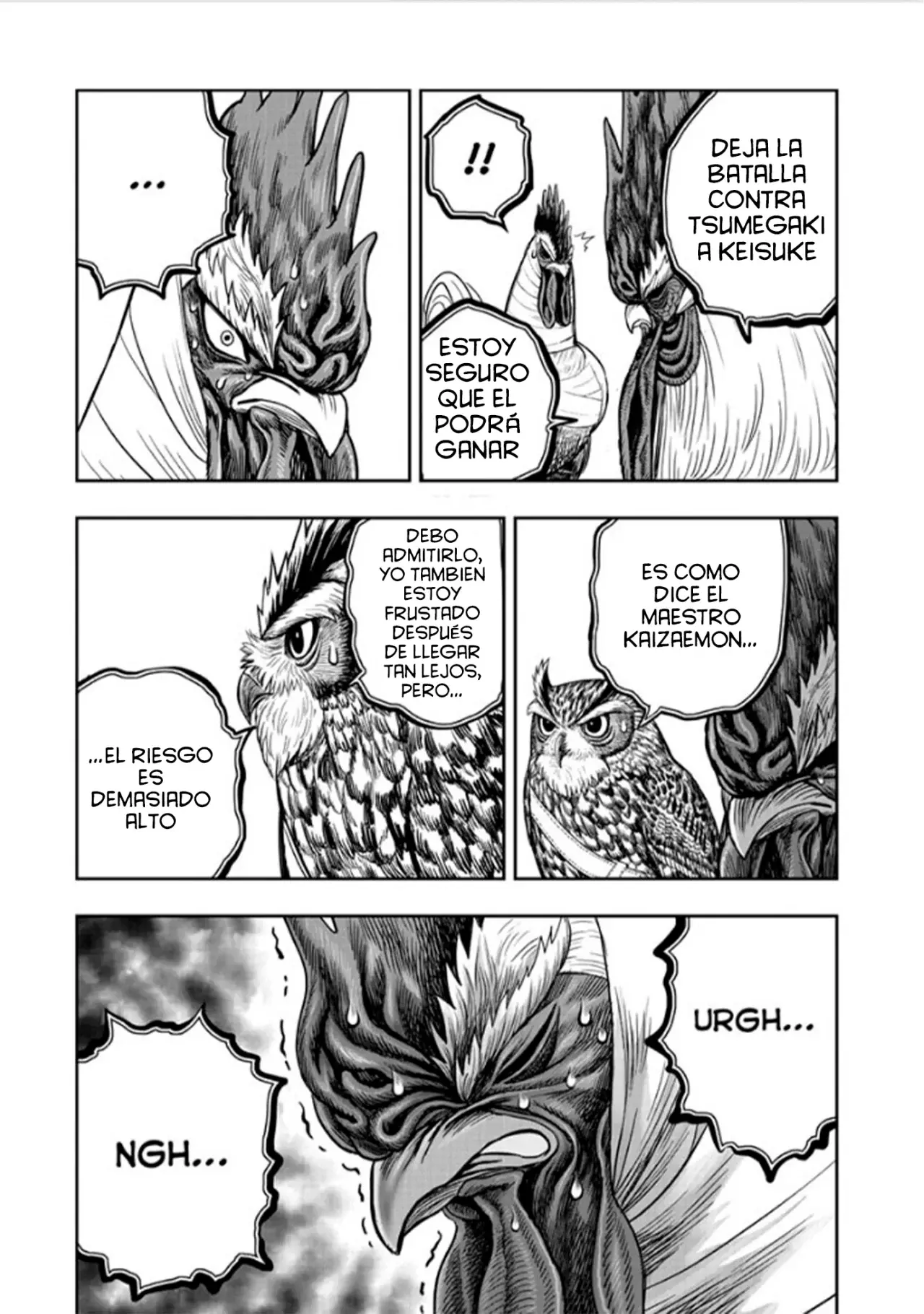 Read Rooster Fighter ES Manga Online