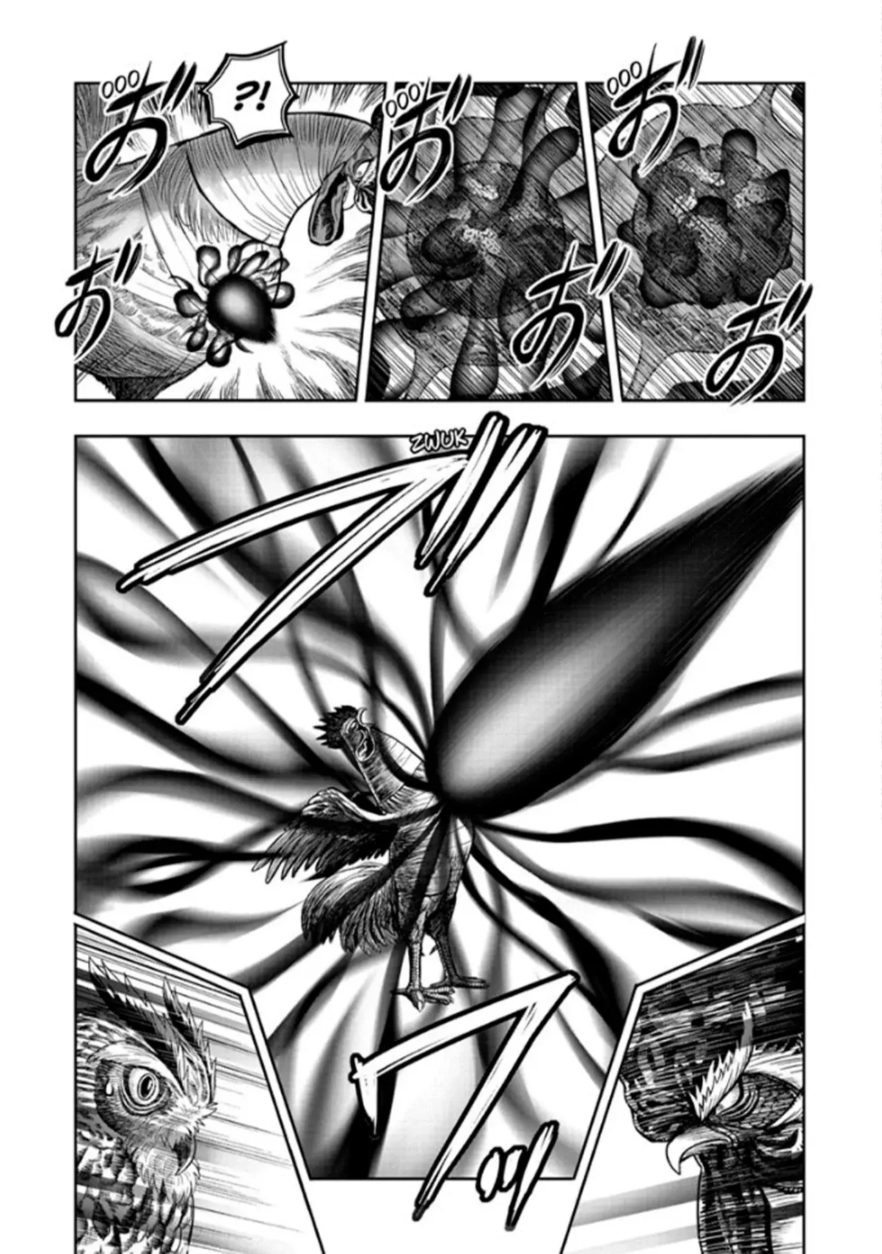 Read Rooster Fighter ES Manga Online