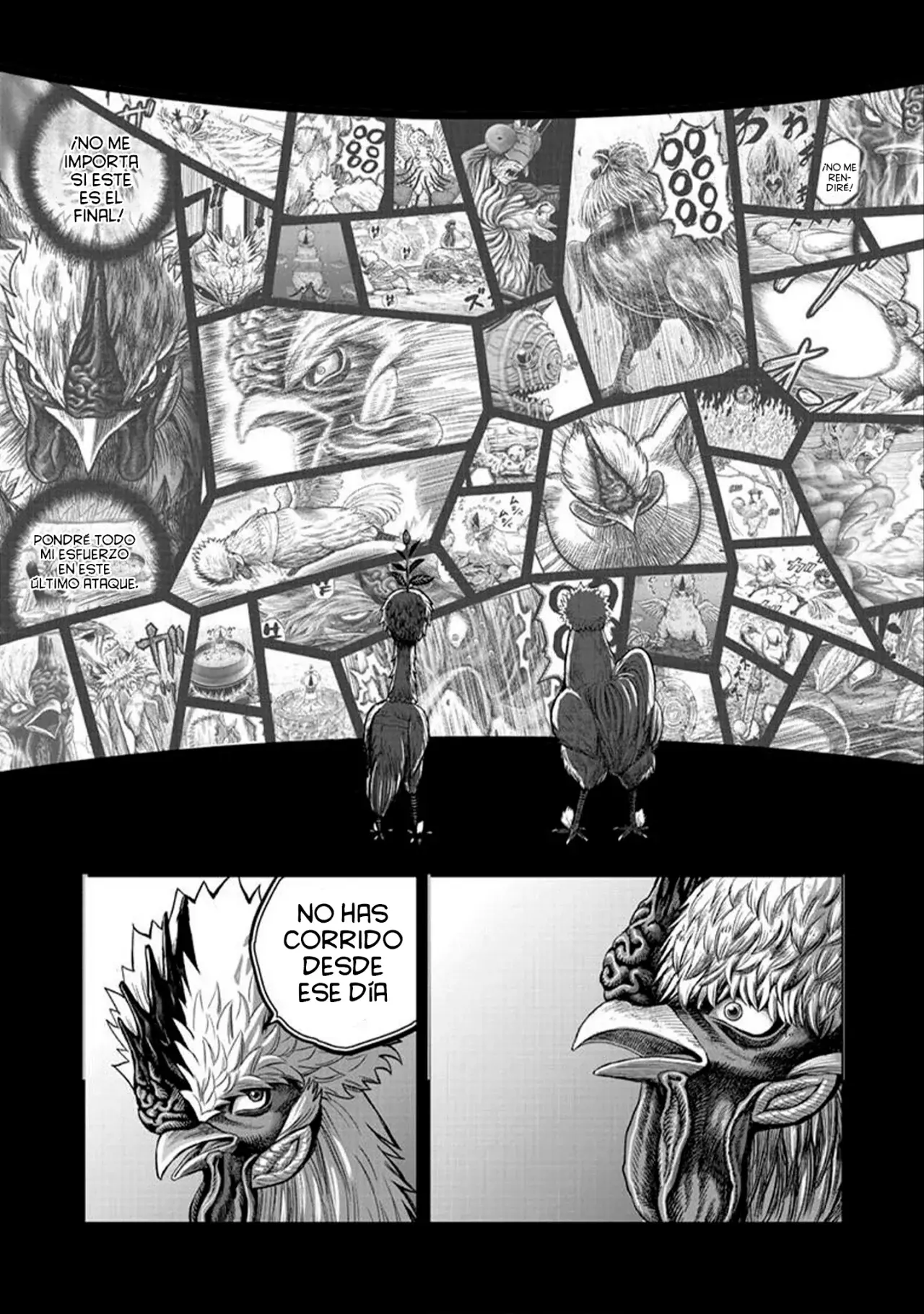 Read Rooster Fighter ES Manga Online