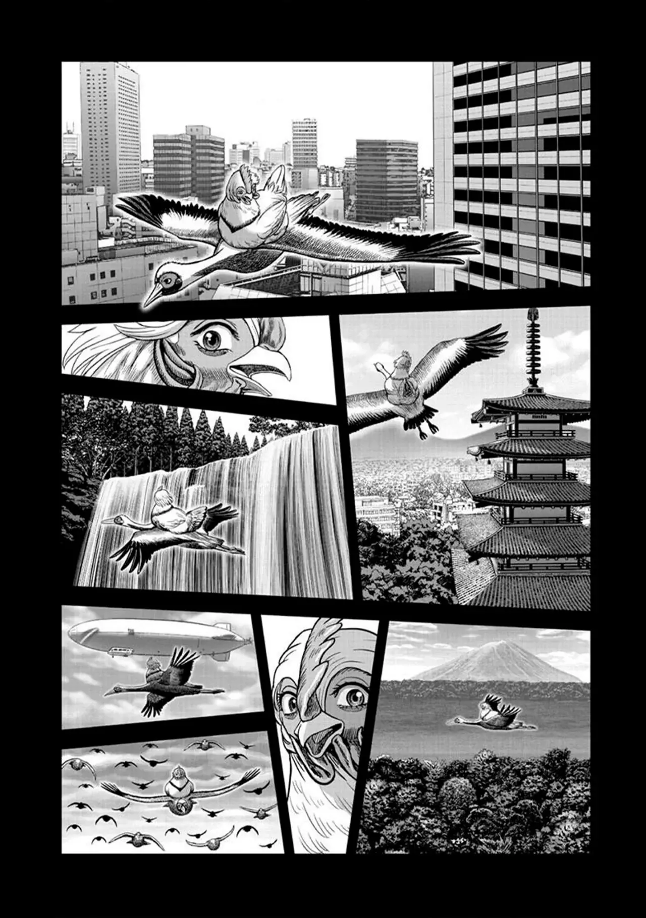 Read Rooster Fighter ES Manga Online