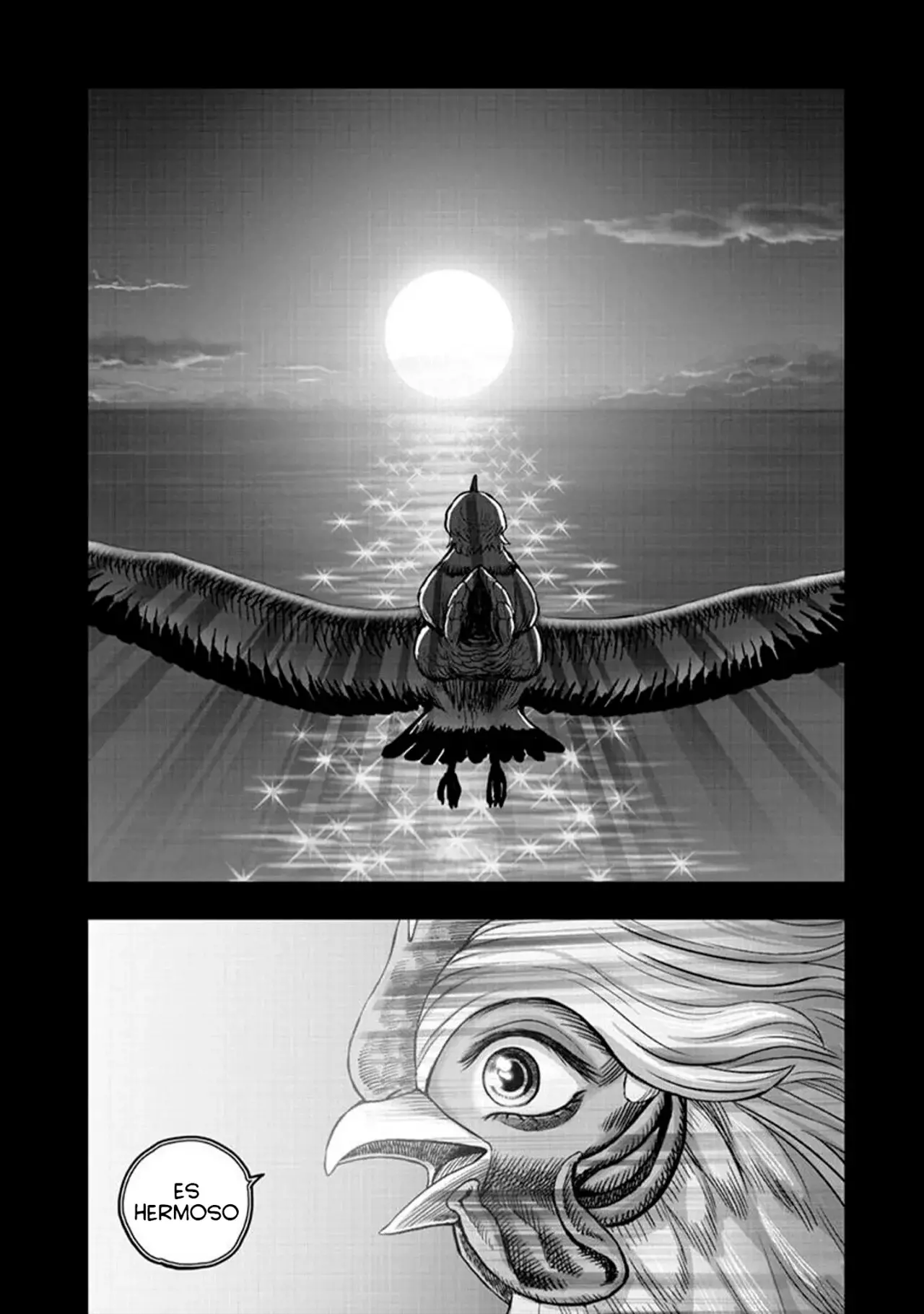 Read Rooster Fighter ES Manga Online