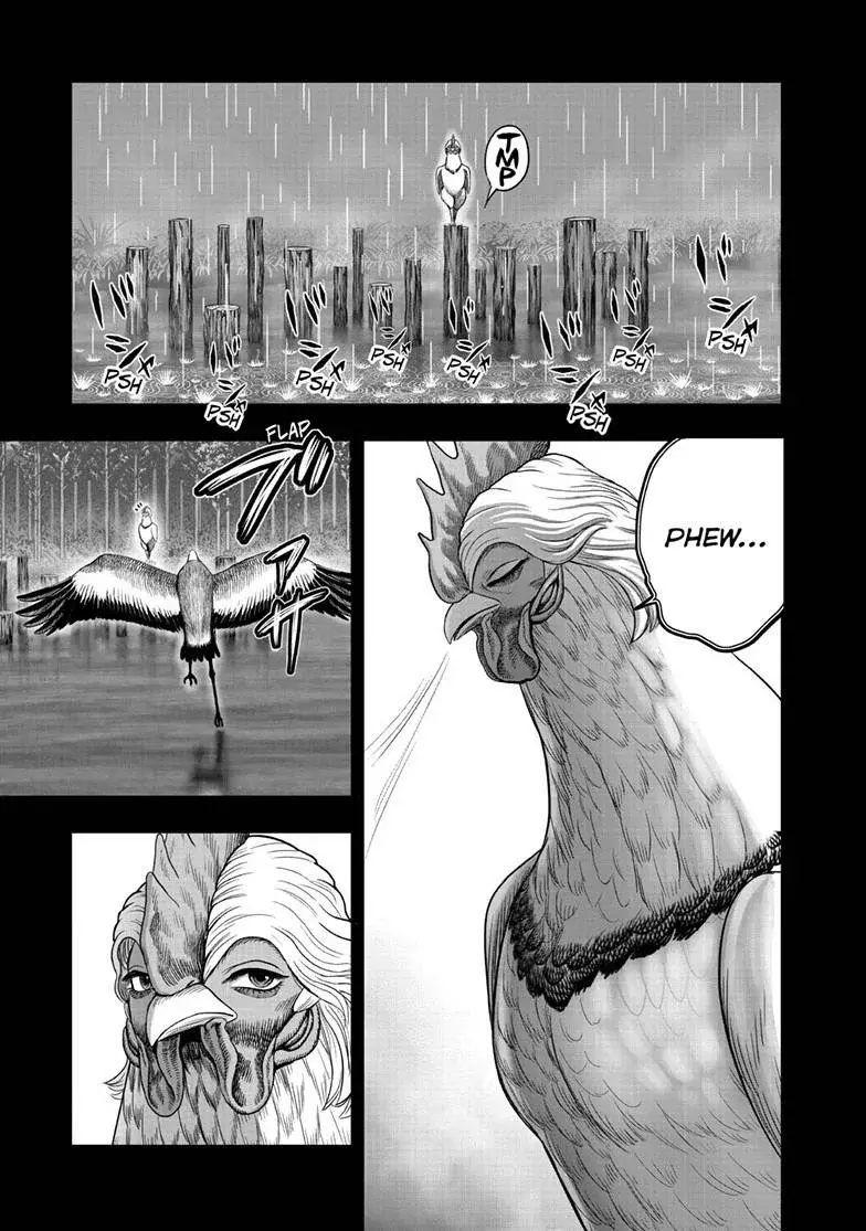Read Rooster Fighter ES Manga Online