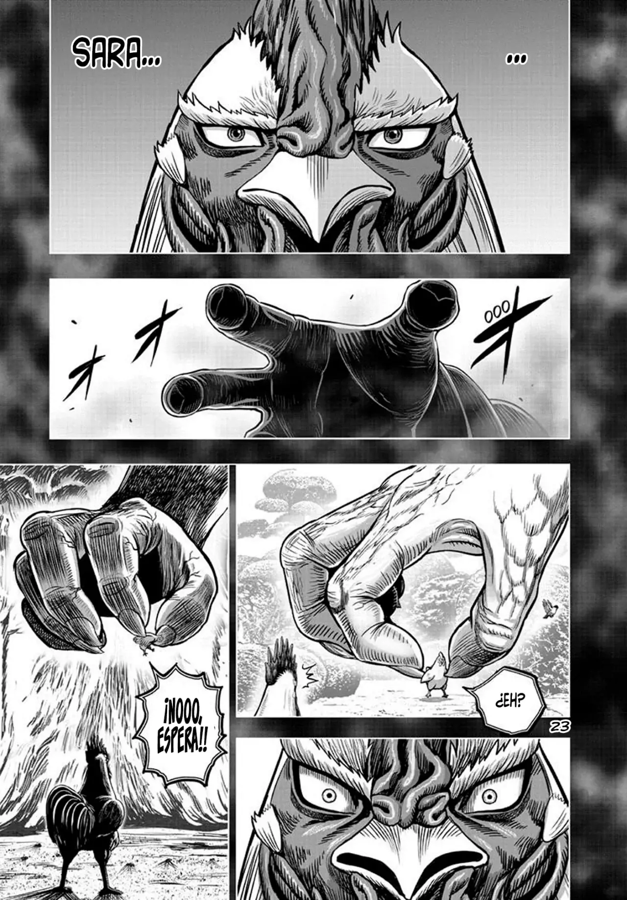 Read Rooster Fighter ES Manga Online